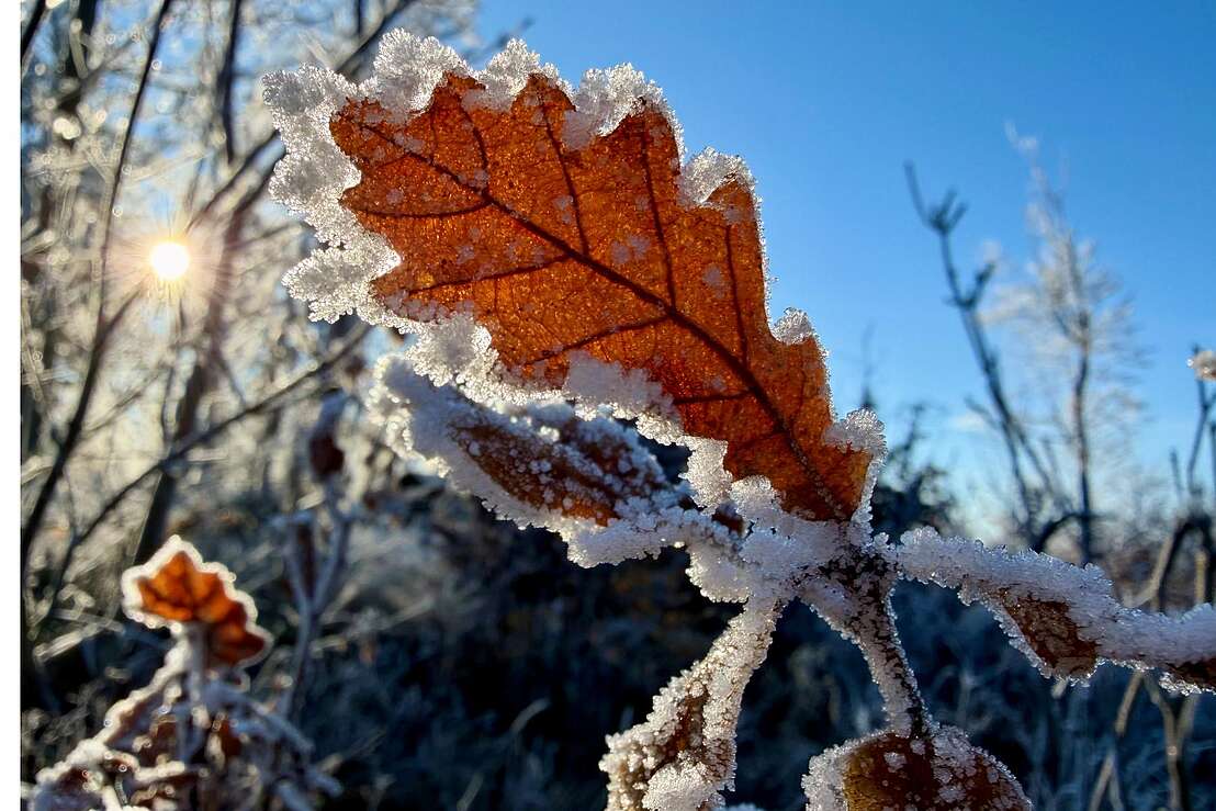Sonne und Frost_Heike Härtel-Dressel