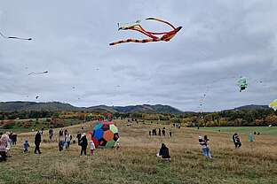 Drachenfest Drachenfest
