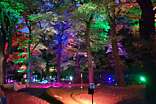 Moonlight AdventureGolf
