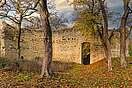 Burgruine Domburg im Hakel