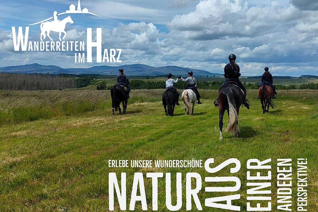 Brockenpanorama Brockenpanorama