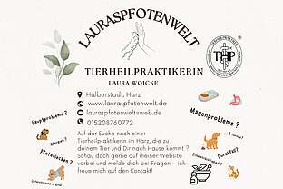 Flyer - Probleme bei deinem Hund ? 