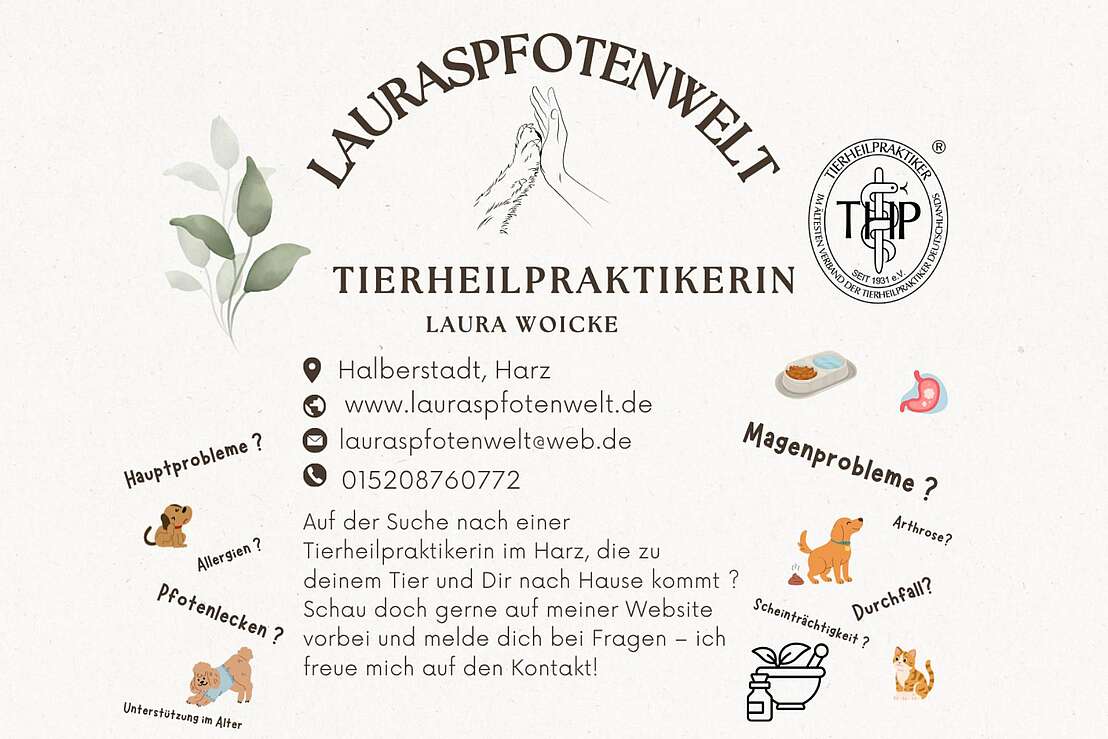 Flyer - Probleme bei deinem Hund ? 