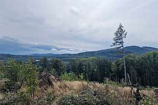 Ausblick Bielsteinkopf Ausblick Bielsteinkopf