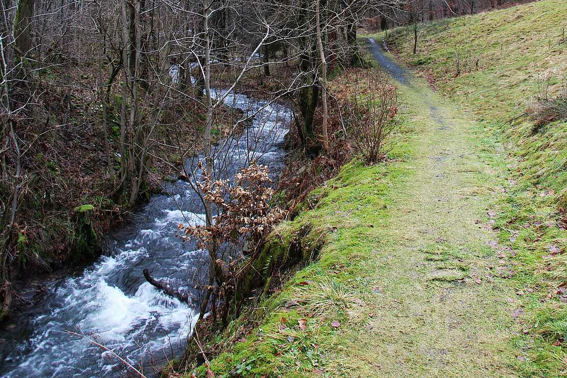 Wanderweg an der Lonau in Herzberg