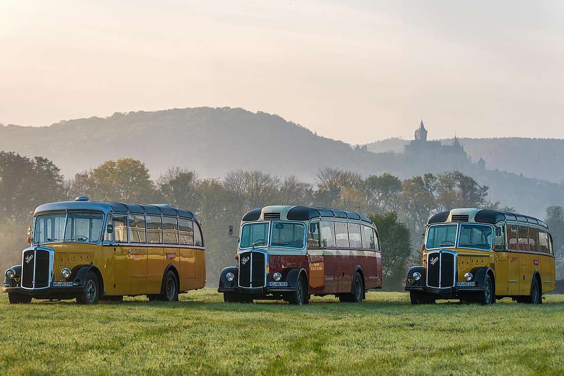 Südharzrundfahrt Südharzrundfahrt