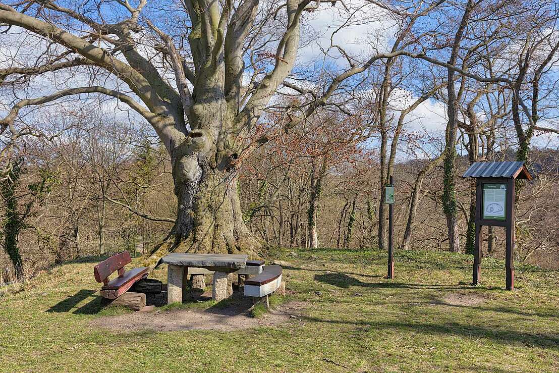 Picknickplatz auf der Vorburg