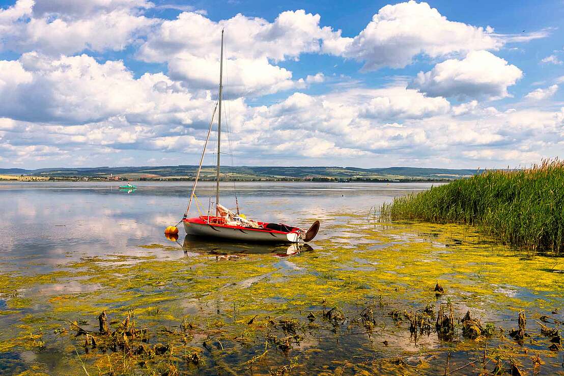 Segelboot auf dem Stausee Kelbra