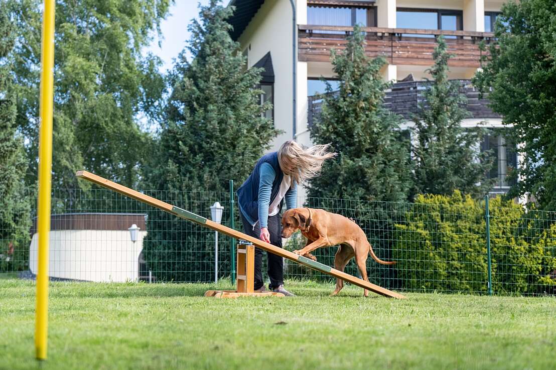 Agility Parcour mit Hund