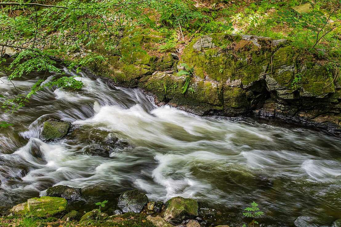 Kleine Kaskaden in der Bode