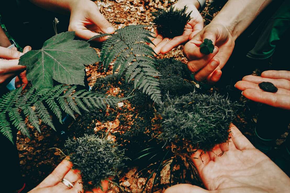 Achtsam wandern Achtsam wandern