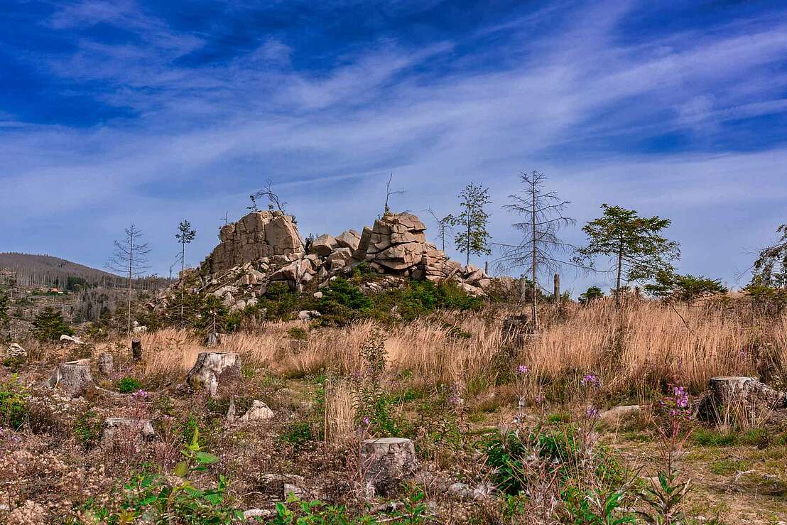 Felsformation Mäuseklippe