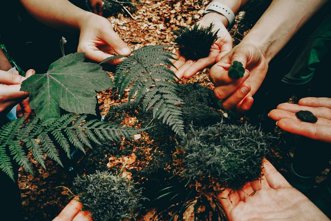 Achtsam Wandern Achtsam Wandern