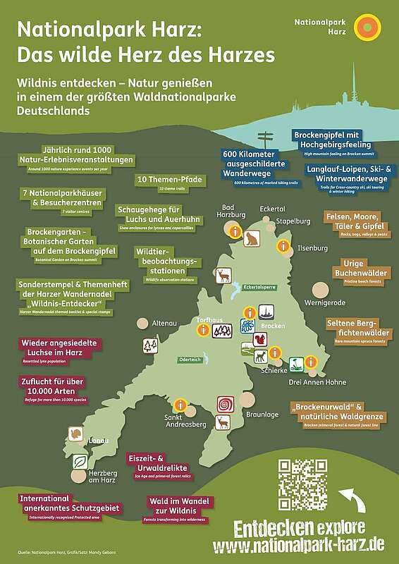Das wilde Herz des Harzes