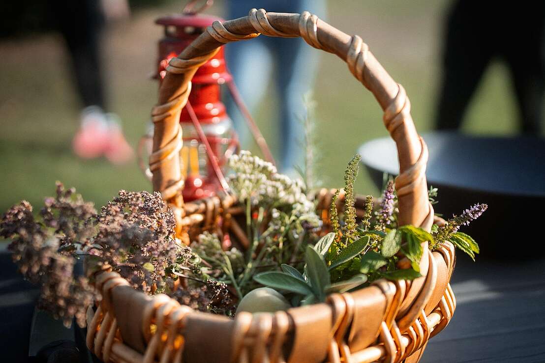 Wildkräuter Wildkräuter