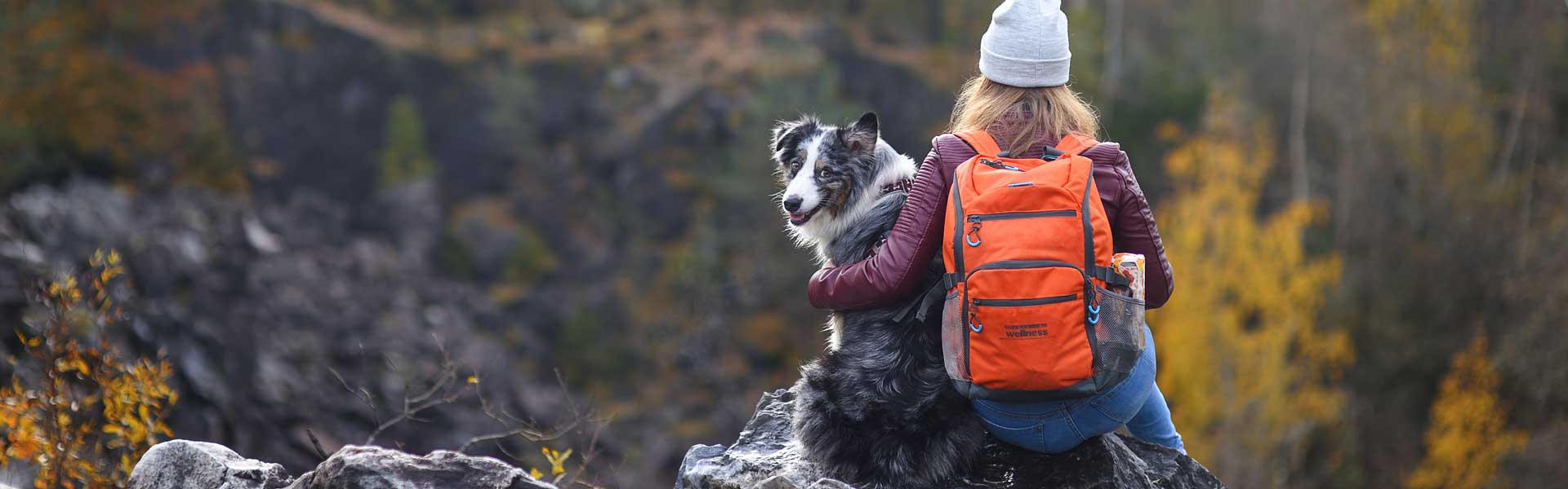 Urlaub im Harz mit Hund