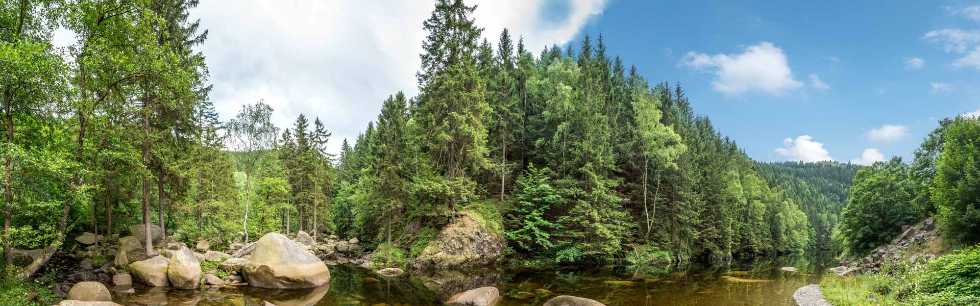 Titelbild Nationalpark Harz