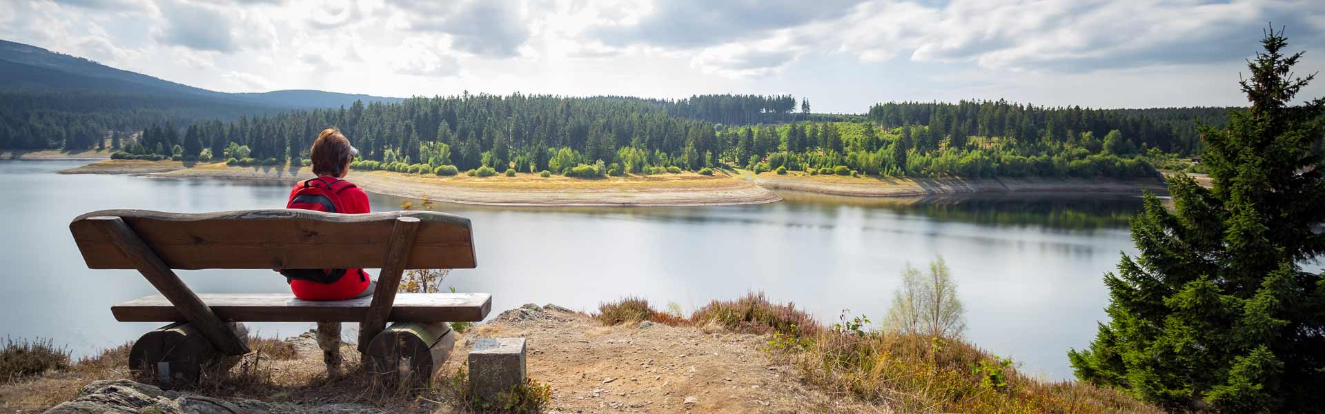 Talsperren im Harz - Bank an der Eckertalsperre