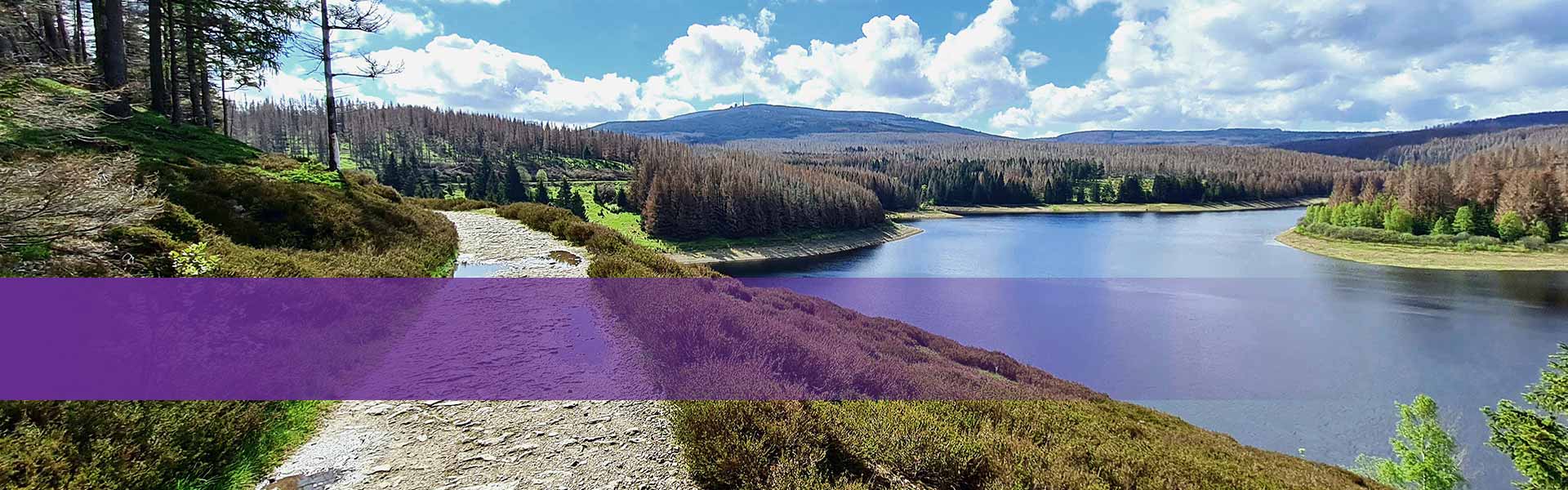 Header Erkunden - Nationalpark Harz