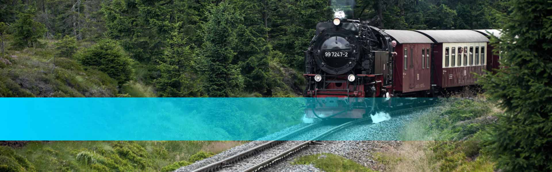 Kategorie Service Bahnstrecken - Zug der HSB fährt durch den Wald
