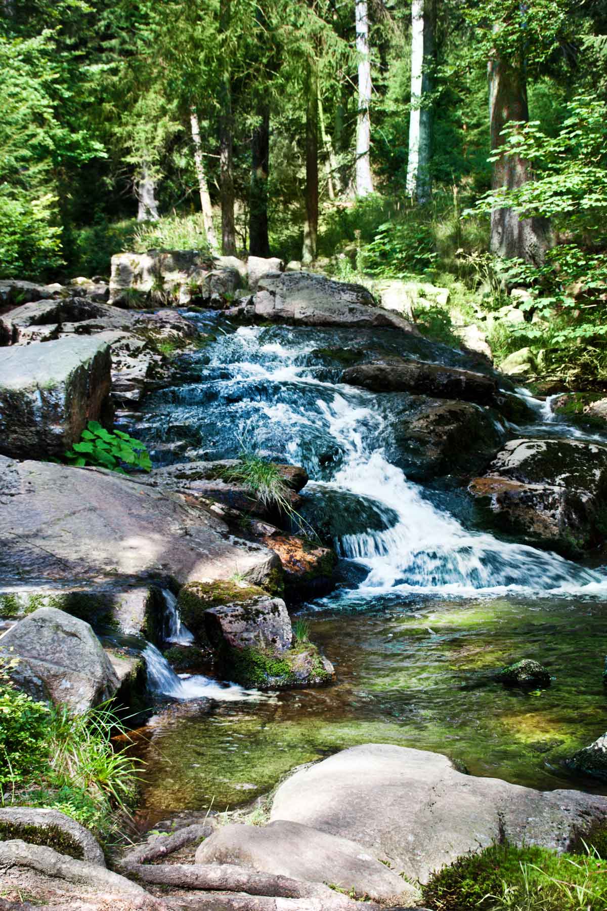 Kaskaden im Nationalpark Harz