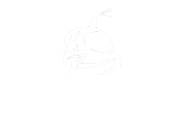 Partnerlogo