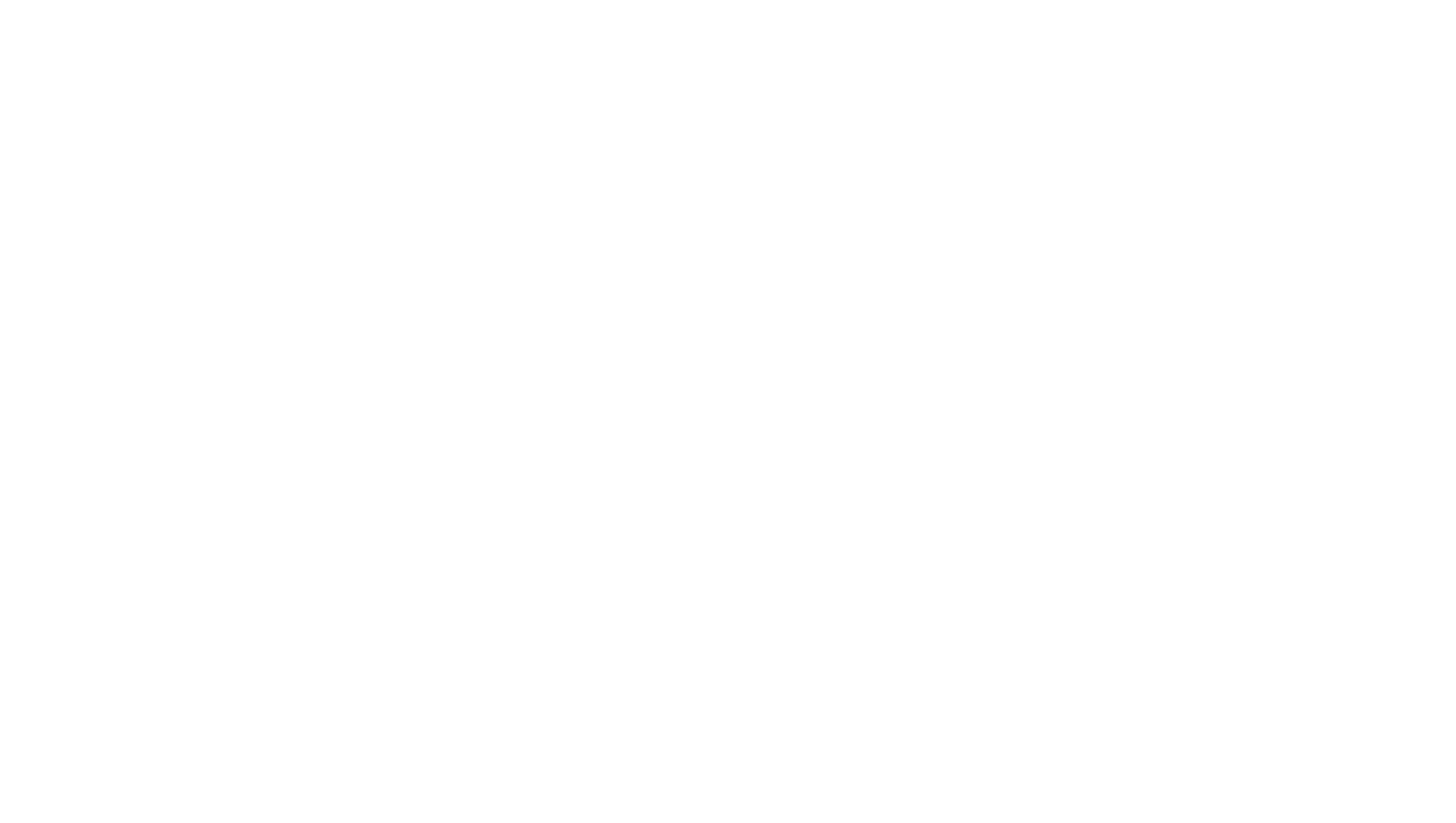 Partnerlogo