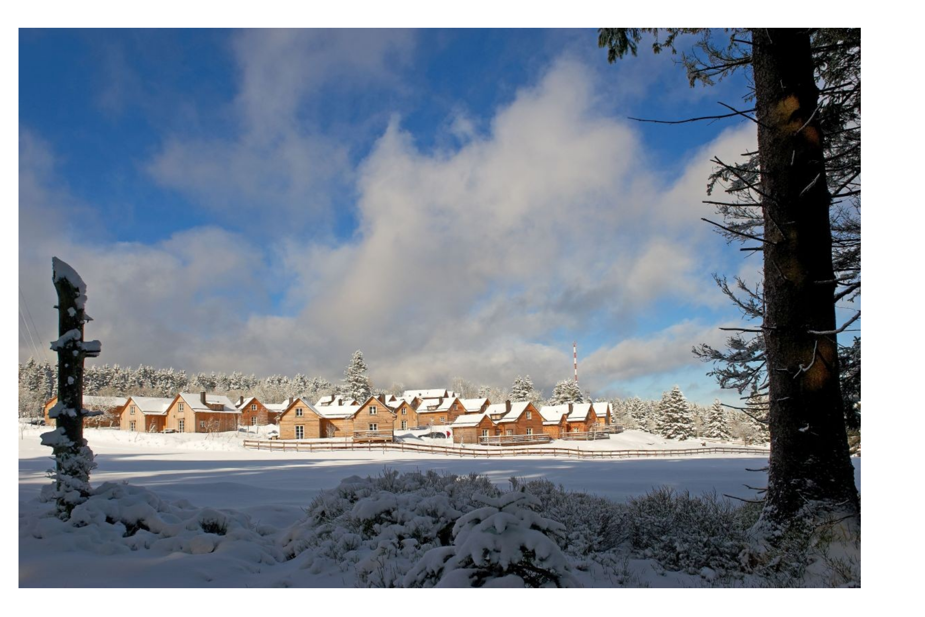 Winterbild des Resorts auf dem Torfhausmoor