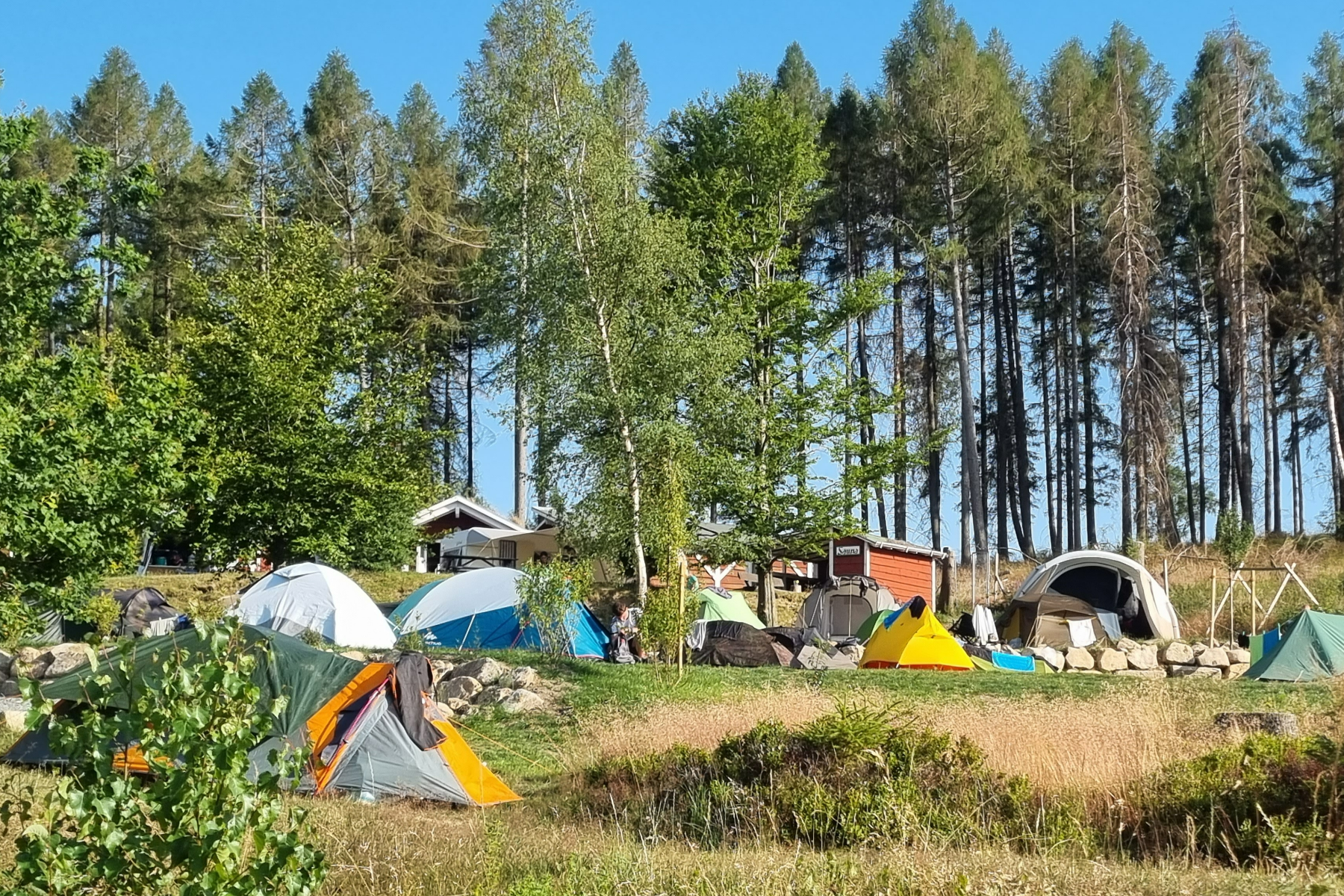 Harz Mountain Camp - Zeltterrassen mit Ausblick auf die Fass-Sauna im Hintergrund 